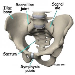 Pelvic Dysfunction Treatment | Epsom Physiotherapy